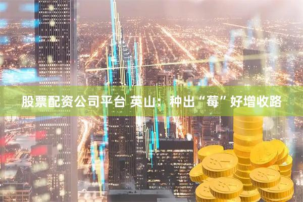 股票配资公司平台 英山：种出“莓”好增收路
